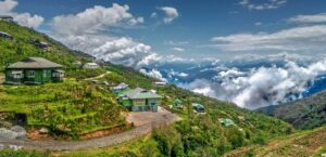 Yumthang Valley