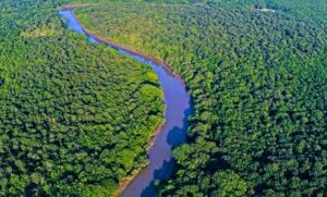 BHITARKANIKA NATIONAL PARK