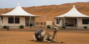 WAHIBA SANDS
