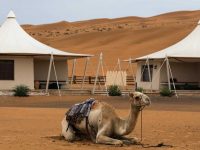 b160822064-banner-size WAHIBA SANDS