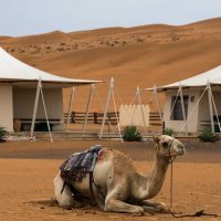 b160822064-banner-size WAHIBA SANDS