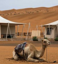 b160822064-banner-size WAHIBA SANDS