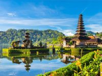 Bali Bali