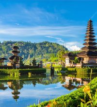 Bali Bali